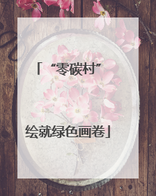“零碳村” 绘就绿色画卷