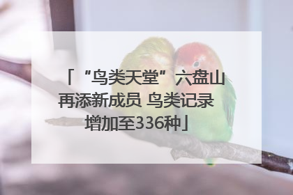 “鸟类天堂”六盘山再添新成员 鸟类记录增加至336种