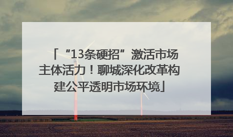 “13条硬招”激活市场主体活力！聊城深化改革构建公平透明市场环境