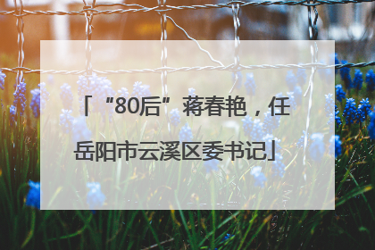 “80后”蒋春艳，任岳阳市云溪区委书记