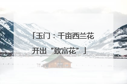 玉门：千亩西兰花开出“致富花”