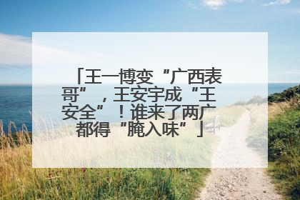 王一博变“广西表哥”，王安宇成“王安全”！谁来了两广都得“腌入味”