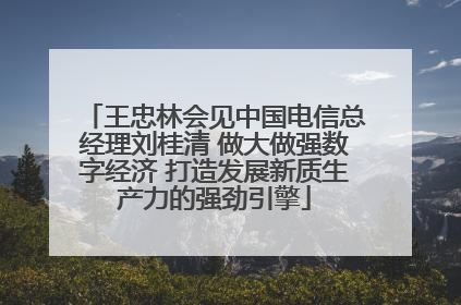 王忠林会见中国电信总经理刘桂清 做大做强数字经济 打造发展新质生产力的强劲引擎