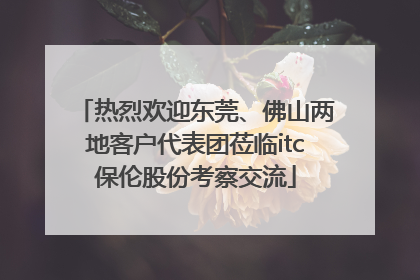 热烈欢迎东莞、佛山两地客户代表团莅临itc保伦股份考察交流
