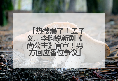 热搜爆了！孟子义、李昀锐新剧《尚公主》官宣！男方回应番位争议