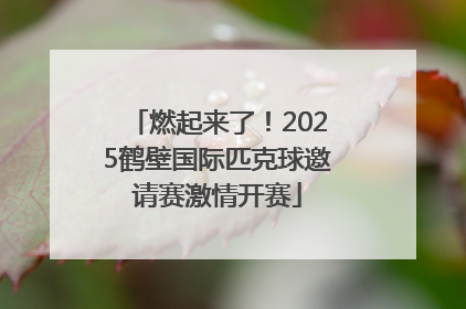 燃起来了！2025鹤壁国际匹克球邀请赛激情开赛