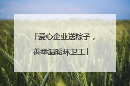 爱心企业送粽子，善举温暖环卫工