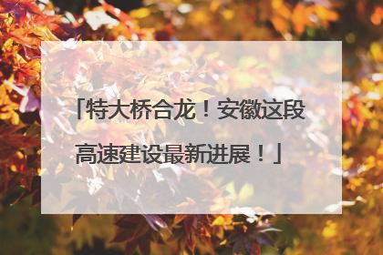 特大桥合龙!安徽这段高速建设最新进展!