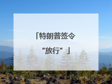 特朗普签令“放行”
