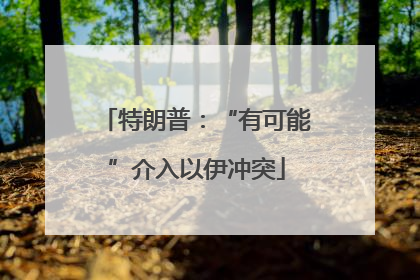 特朗普：“有可能”介入以伊冲突