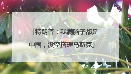特朗普：我满脑子都是中国，没空搭理马斯克