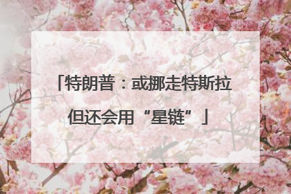 特朗普：或挪走特斯拉 但还会用“星链”