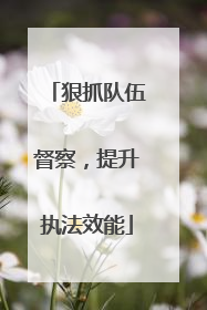 狠抓队伍督察，提升执法效能