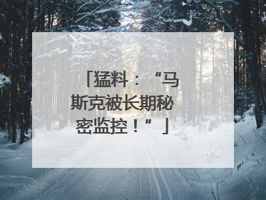 猛料：“马斯克被长期秘密监控！”
