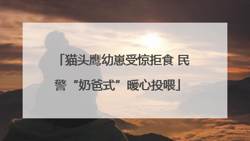 猫头鹰幼崽受惊拒食 民警“奶爸式”暖心投喂
