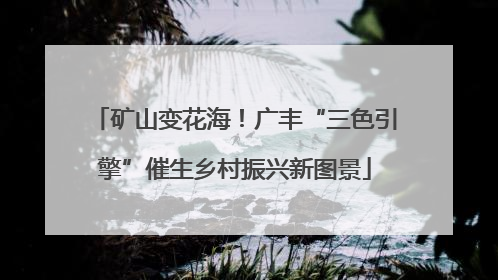 矿山变花海！广丰“三色引擎”催生乡村振兴新图景