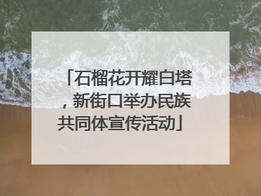 石榴花开耀白塔，新街口举办民族共同体宣传活动