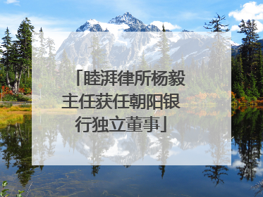 睦湃律所杨毅主任获任朝阳银行独立董事