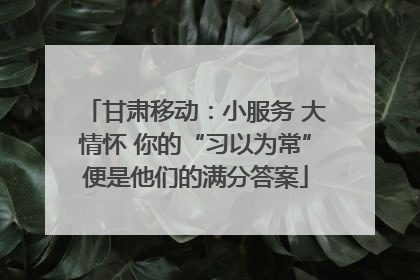 甘肃移动：小服务 大情怀 你的“习以为常”便是他们的满分答案