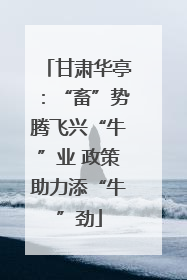 甘肃华亭：“畜”势腾飞兴“牛”业 政策助力添“牛”劲