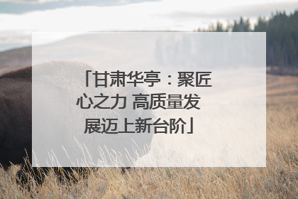 甘肃华亭：聚匠心之力 高质量发展迈上新台阶