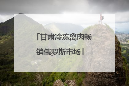 甘肃冷冻禽肉畅销俄罗斯市场