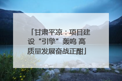 甘肃平凉：项目建设“引擎”轰鸣 高质量发展奋战正酣