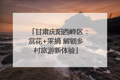 甘肃庆阳西峰区：赏花+采摘 解锁乡村旅游新体验