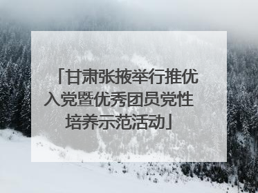 甘肃张掖举行推优入党暨优秀团员党性培养示范活动
