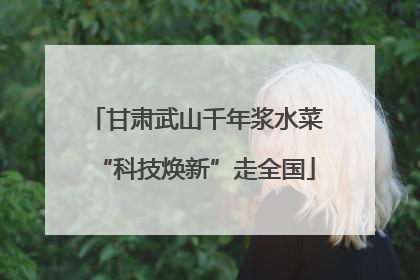 甘肃武山千年浆水菜“科技焕新”走全国