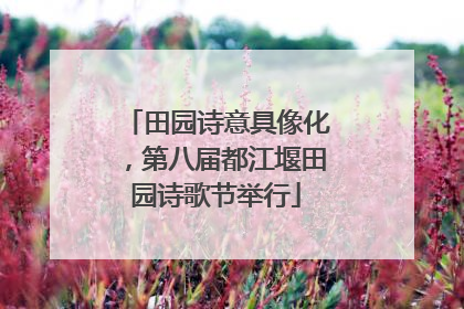 田园诗意具像化，第八届都江堰田园诗歌节举行