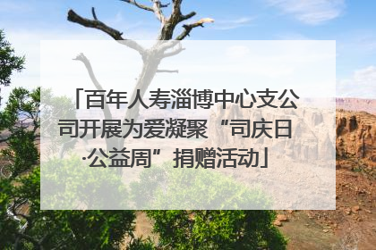 百年人寿淄博中心支公司开展为爱凝聚“司庆日·公益周”捐赠活动