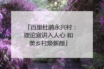 百里杜鹃永兴村：理论宣讲入人心 和美乡村焕新颜