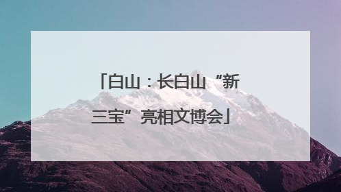 白山：长白山“新三宝”亮相文博会