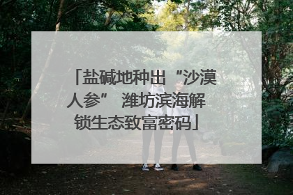盐碱地种出“沙漠人参” 潍坊滨海解锁生态致富密码