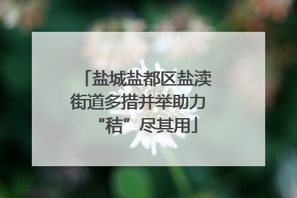 盐城盐都区盐渎街道多措并举助力“秸”尽其用