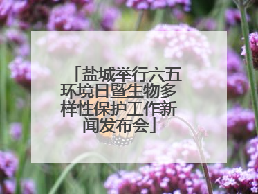 盐城举行六五环境日暨生物多样性保护工作新闻发布会
