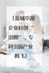 盐城亭湖企业科创“出圈”，专利引领产业腾飞