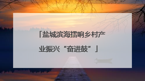 盐城滨海擂响乡村产业振兴“奋进鼓”