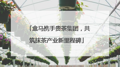 盒马携手贵茶集团，共筑抹茶产业新里程碑