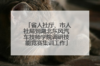 省人社厅、市人社局到湖北东风汽车技师学院调研技能竞赛集训工作