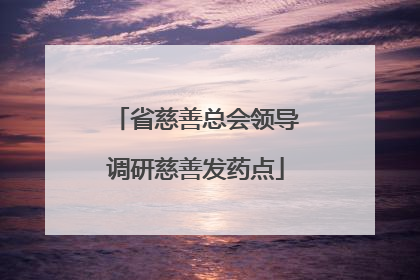 省慈善总会领导调研慈善发药点