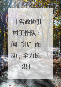 省政协驻村工作队：闻“汛”而动，全力抗洪