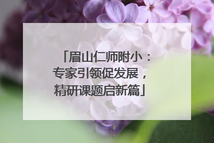 眉山仁师附小：专家引领促发展，精研课题启新篇