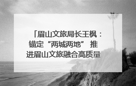 眉山文旅局长王枫：锚定“两城两地” 推进眉山文旅融合高质量发展｜文旅局长说