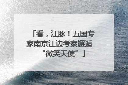 看，江豚！五国专家南京江边考察邂逅“微笑天使”