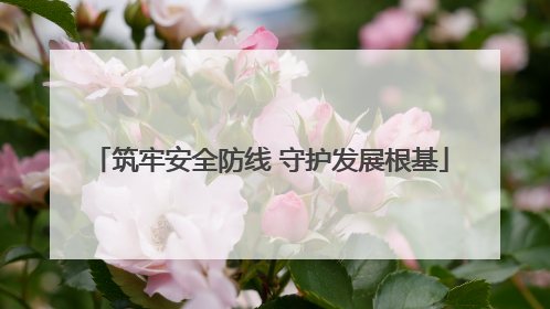 筑牢安全防线 守护发展根基
