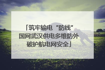 筑牢输电“防线” 国网武汉供电多维防外破护航电网安全