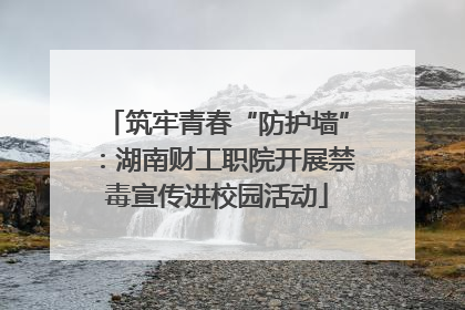 筑牢青春“防护墙”：湖南财工职院开展禁毒宣传进校园活动