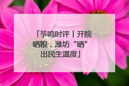 筝鸣时评丨开院晒粮，潍坊“晒”出民生温度